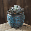 Handmade ceramic succulent flower pots