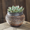 Handmade ceramic succulent flower pots
