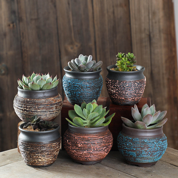 Handmade ceramic succulent flower pots