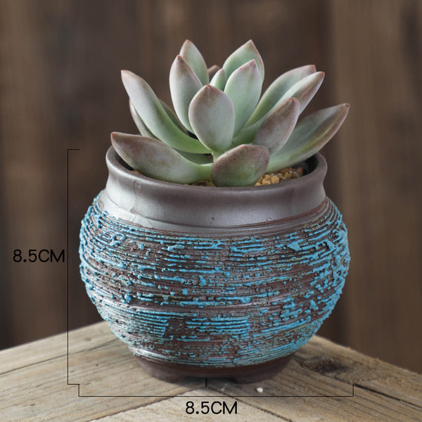 Handmade ceramic succulent flower pots