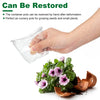 30Pcs Plant Nursery Pots PET Flower Seed Starting Pots Container With Dome With Drainage Holes