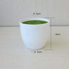 Balcony Plastic Flower Pots Supply Balcony Vegetable Pots