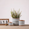 CeramicFlower Pots Nordic Style Geometric Flower Pots