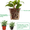 110 Pieces 10cm Plant Pots Nursery Pots Red Plastic Flower Pot